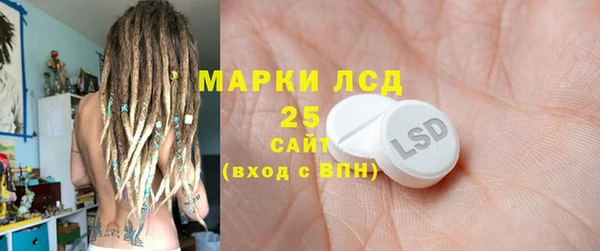 бошки Лабытнанги