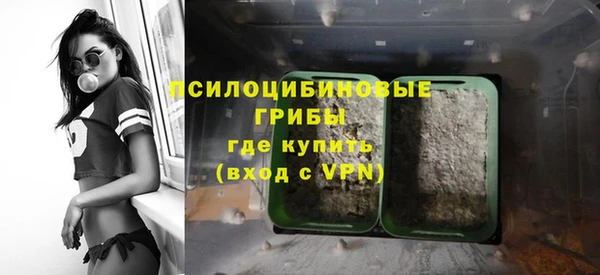 бошки Лабытнанги