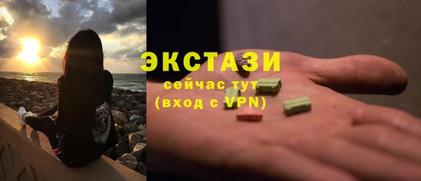 твердый Лагань