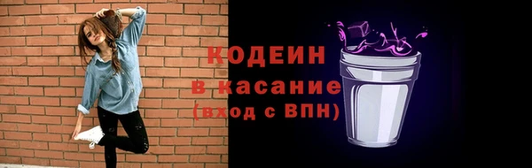 твердый Лагань