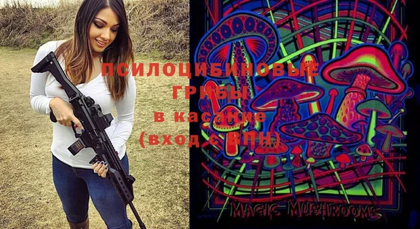 твердый Лагань