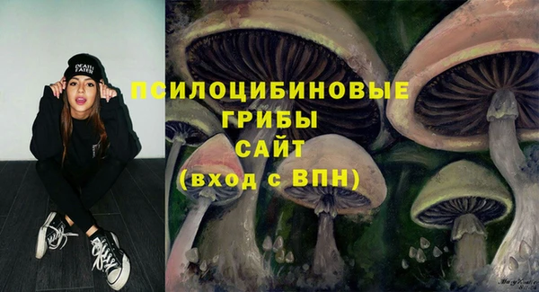 бошки Лабытнанги