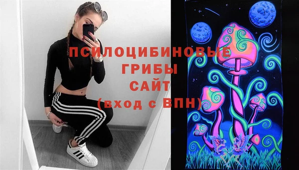 бошки Лабытнанги