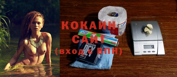 твердый Лагань