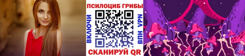 Купить где  Костомукша  Псилоцибиновые грибы прущие грибы 